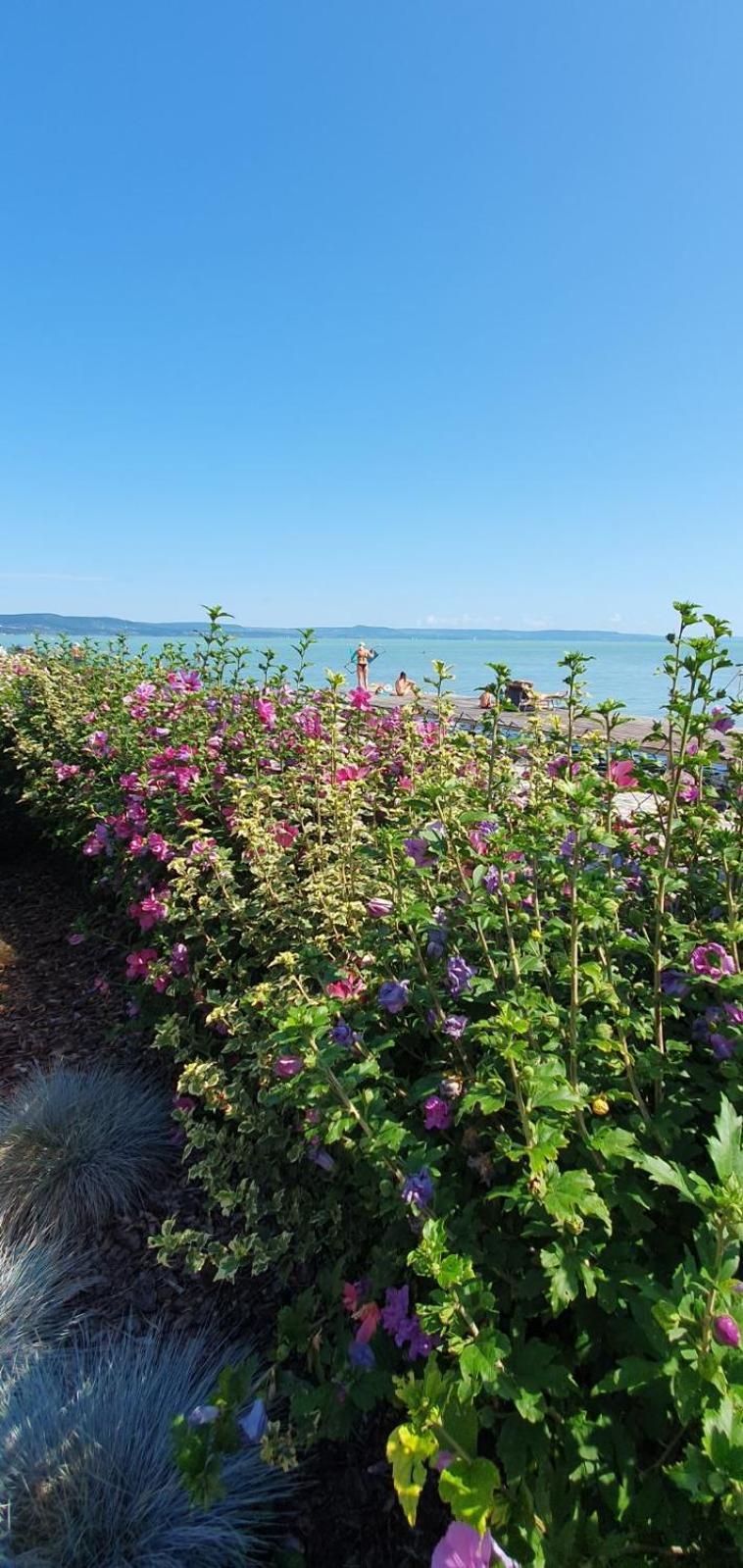 Toparti - * Balatonboglár