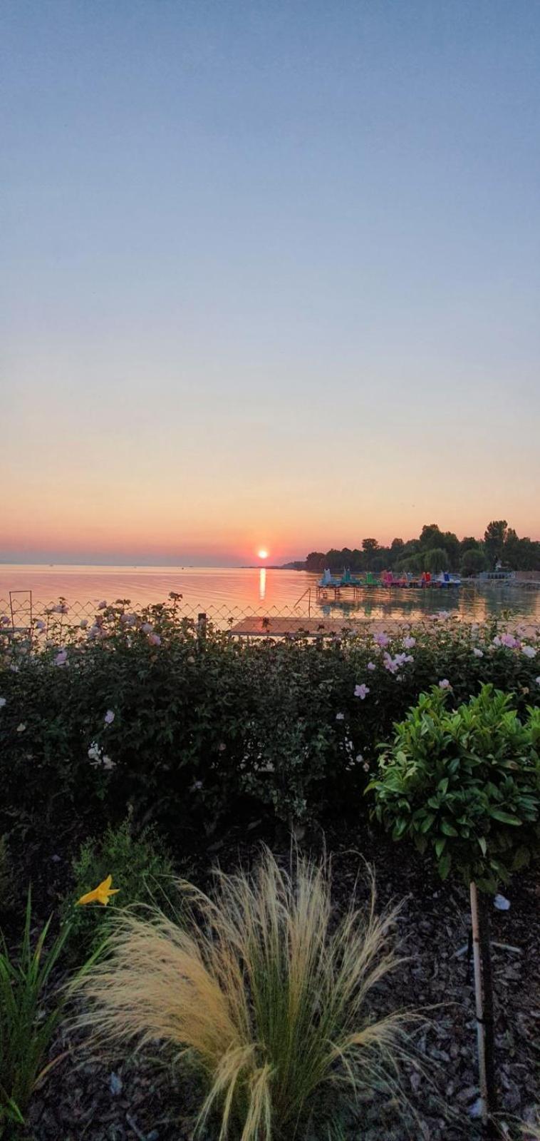 Toparti -